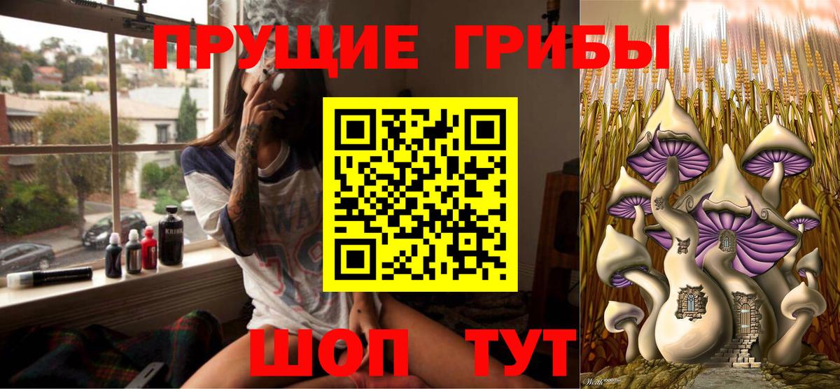 Псилоцибиновые грибы Psilocybine cubensis Кимры